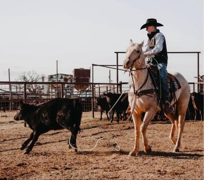 Image for Stroud Oklahoma Horse Auction Summer Special - SATURDAY, MAY 30TH - Stroud, Oklahoma