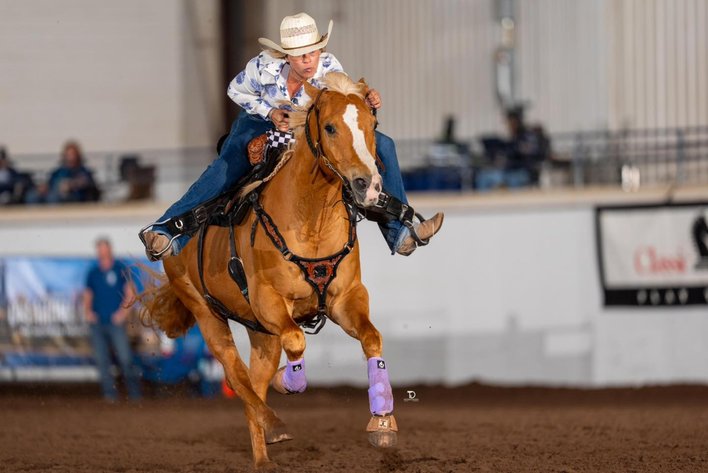 Image for Stroud Oklahoma Horse Auction Summer Special - SATURDAY, MAY 30TH - Stroud, Oklahoma