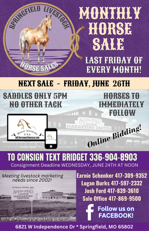 Image for Springfield Livestock Horse Sale FRIDAY JUNE 26TH - Springfield, MO