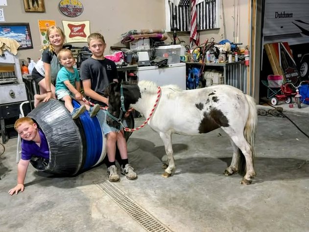 Image for Fort Smith Horse & Mule Sale - SATURDAY, JUNE 20TH - Moffett, Oklahoma