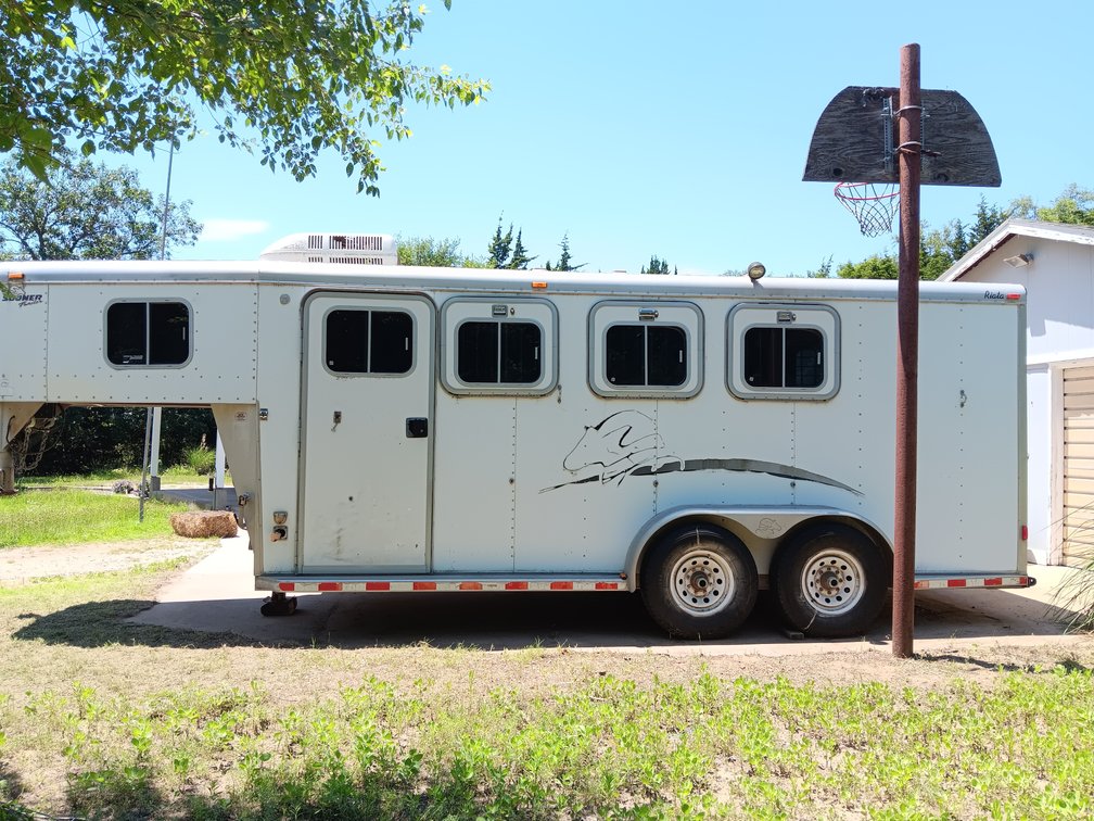 Image for Reno County Stockyards Horse Sale WEDNESDAY, JULY 8TH - South Hutchinson, KS