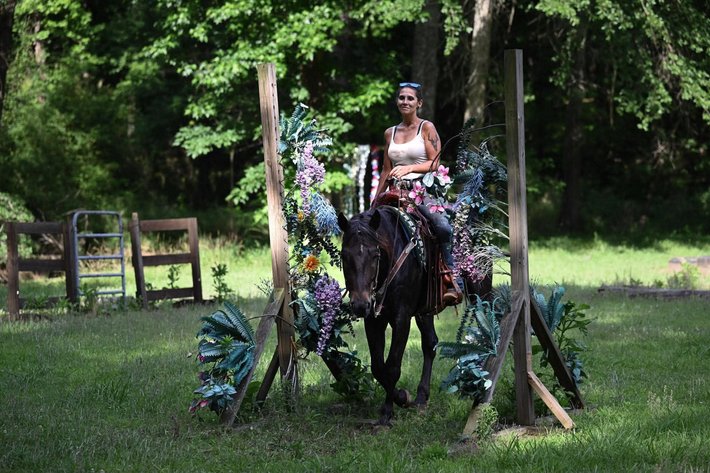 Image for Casino Classic All Breed Horse Sale - Oak Grove, Kentucky SATURDAY,  AUGUST 8TH