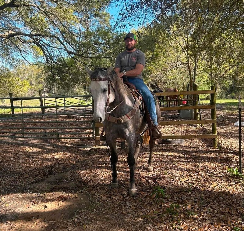 Image for Mize Horse Sale - SATURDAY, JULY 18TH - Mize, Mississippi