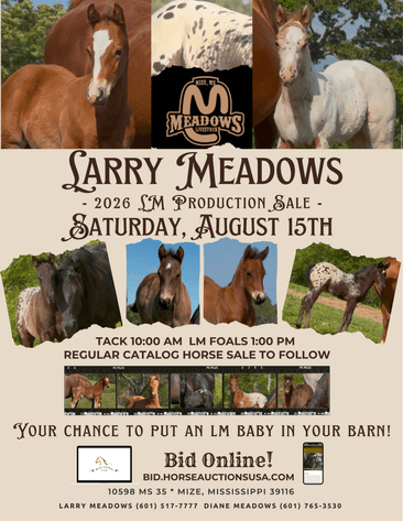 Image for Mize Horse Sale **Annual LM Production Sale - 