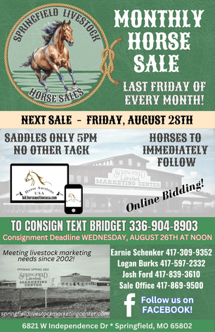 Image for Springfield Livestock Horse Sale FRIDAY AUGUST 28TH - Springfield, MO
