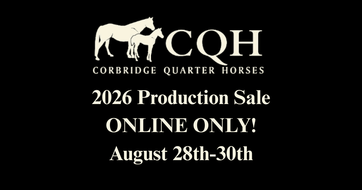 Image for Corbridge Quarter Horses Annual Production Sale - ONLINE ONLY!!!  Runs August 28th through August 30th!