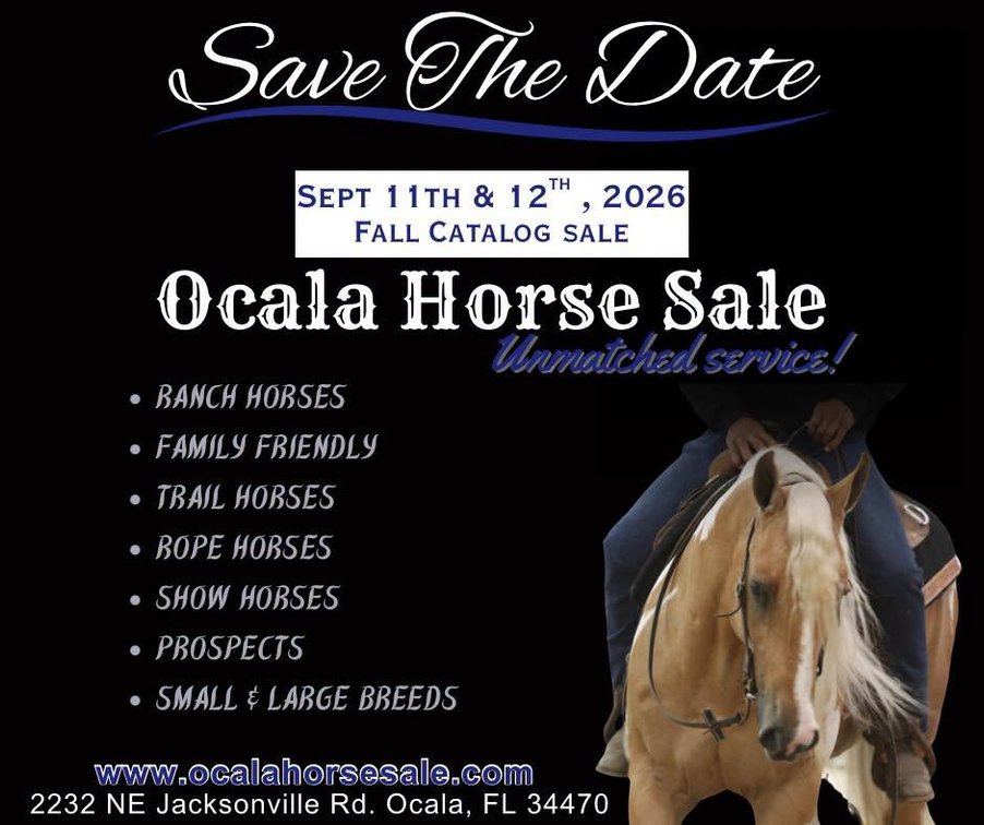 Image for Ocala Horse Sale - Saturday, September 12th - Ocala, Florida