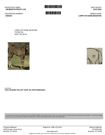 Image for Mize Horse Sale **Annual LM Production Sale - 