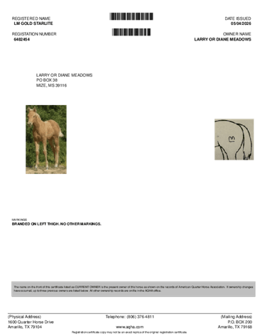 Image for Mize Horse Sale **Annual LM Production Sale - 