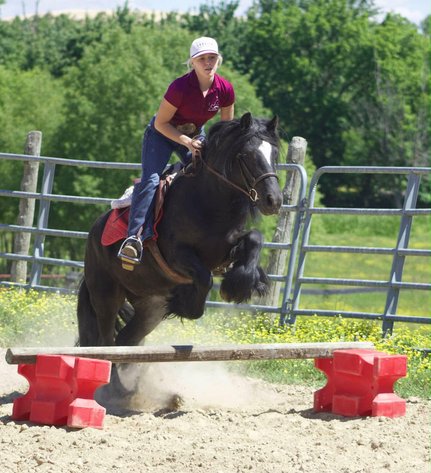Image for Casino Classic All Breed Horse Sale - Oak Grove, Kentucky SATURDAY,  AUGUST 8TH