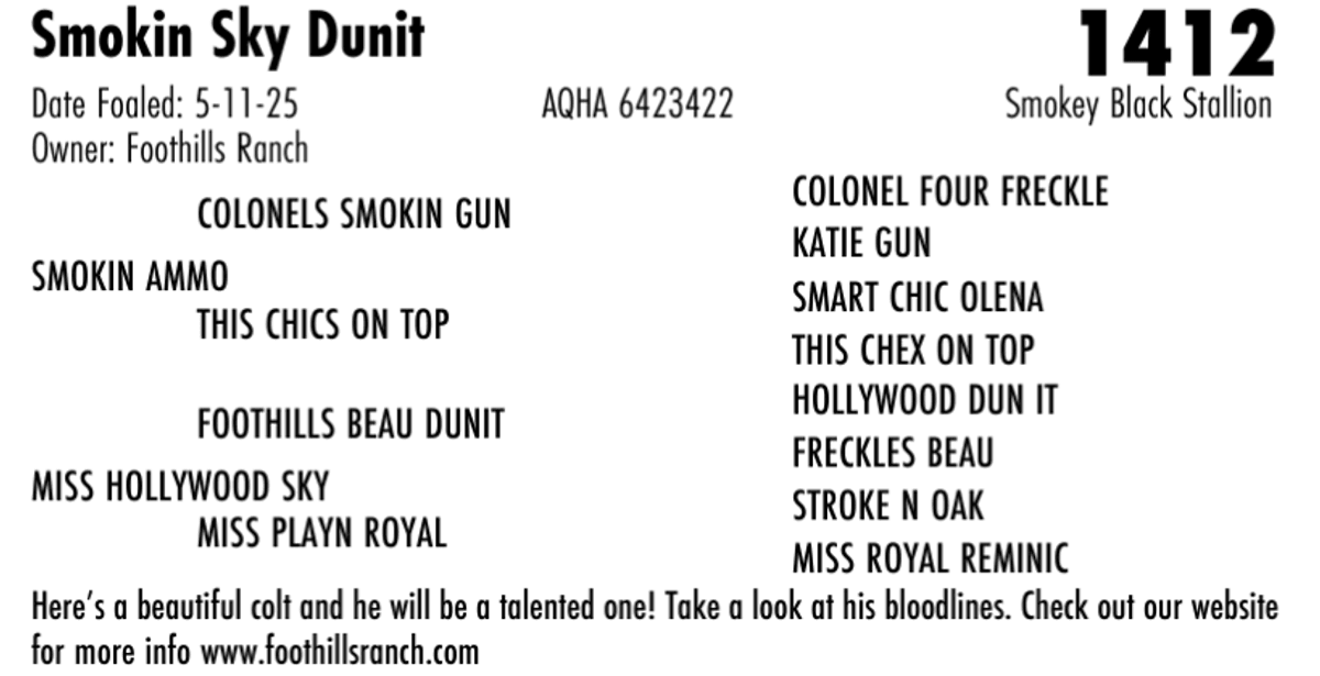 Smokin Sky Dunit