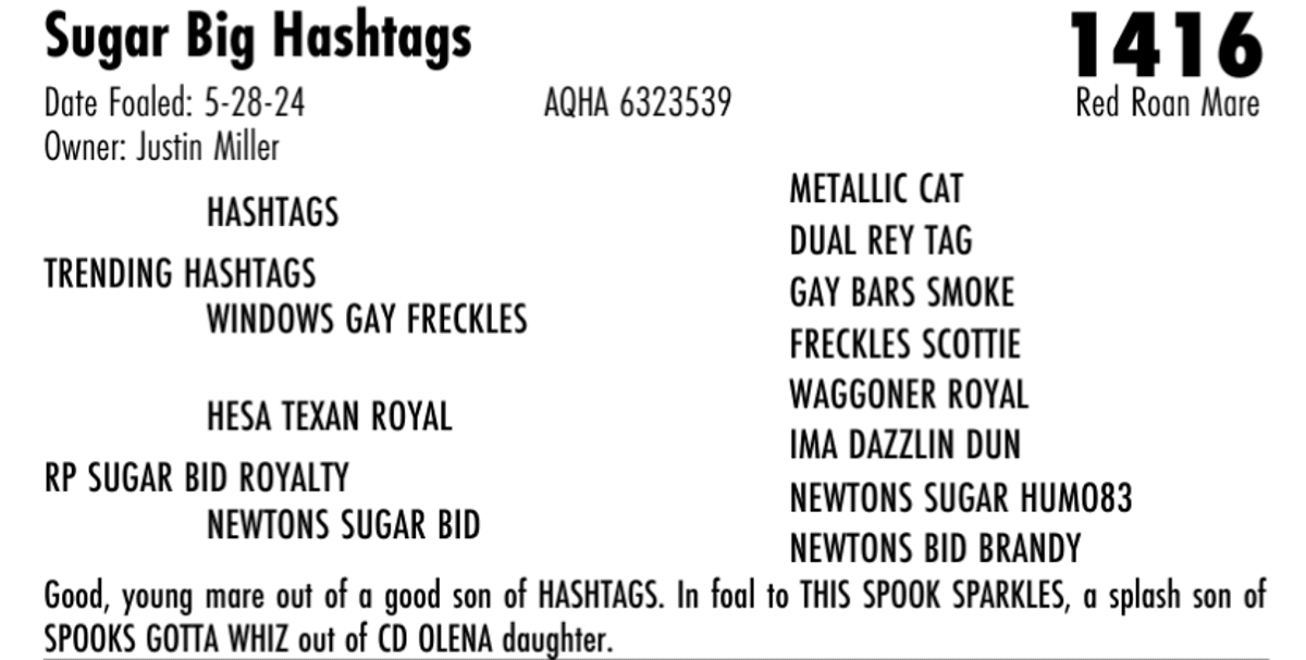 Sugar Big Hashtags