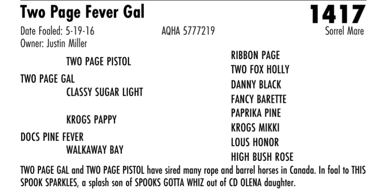 Two Page Fever Gal