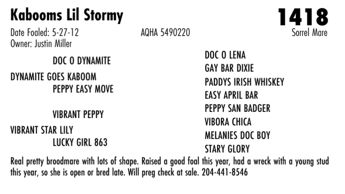 Kabooms Lil Stormy