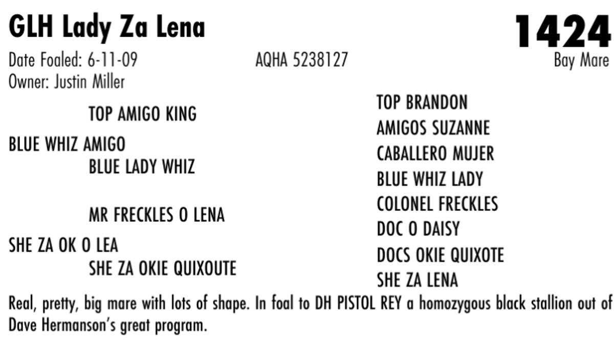 GLH Lady Za Lena