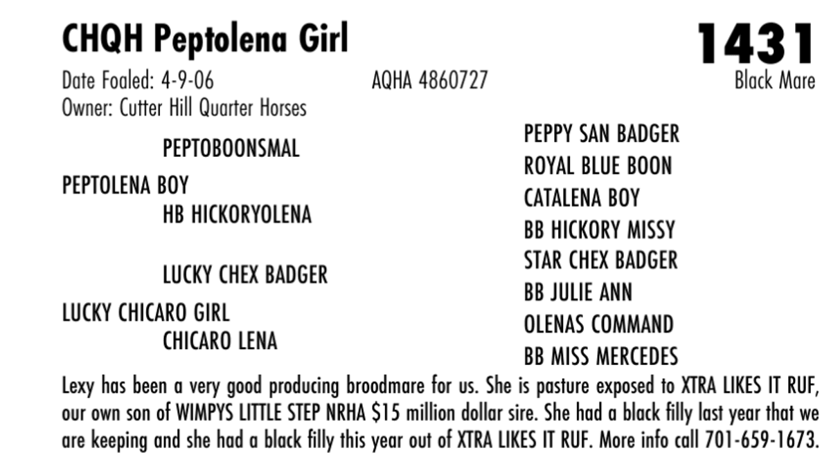 CHQH Peptolena Girl