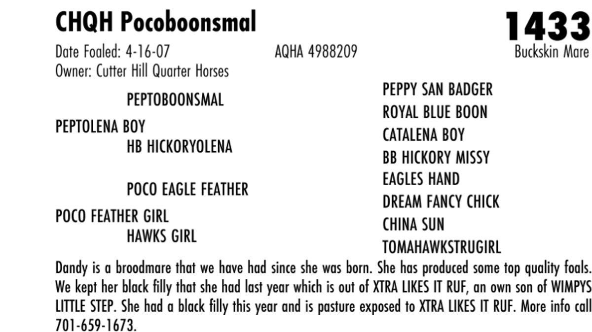 CHQH Pocoboonsmal