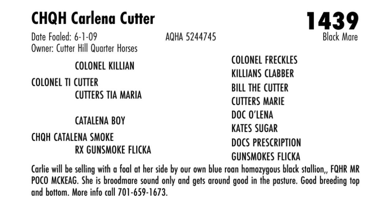 CHQH Carlena Cutter
