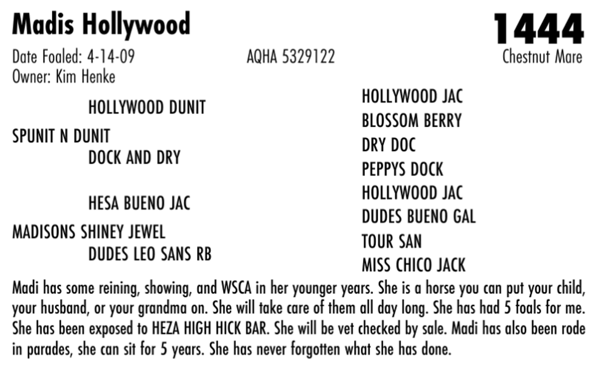 Madis Hollywood