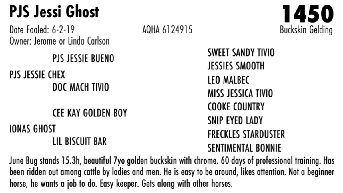 PJS Jessi Ghost