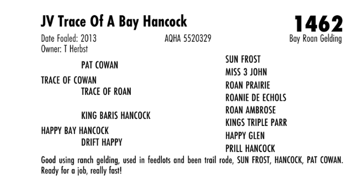 JV Trace Of A Bay Hancock