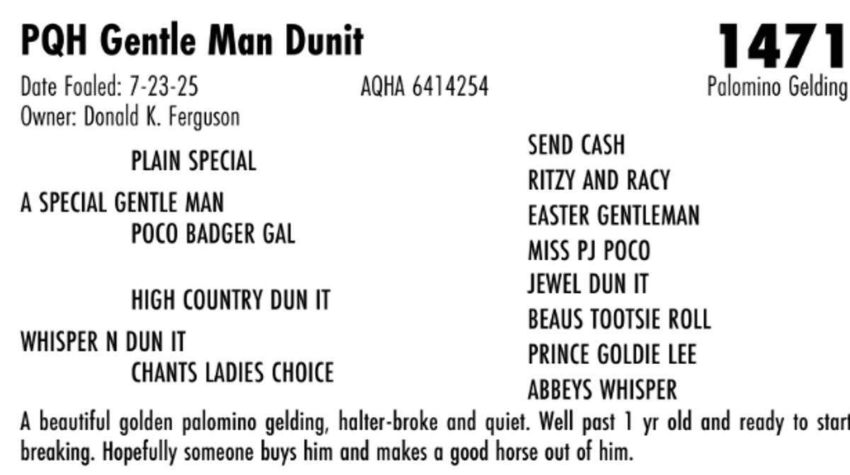 PQH Gentle Man Dunit