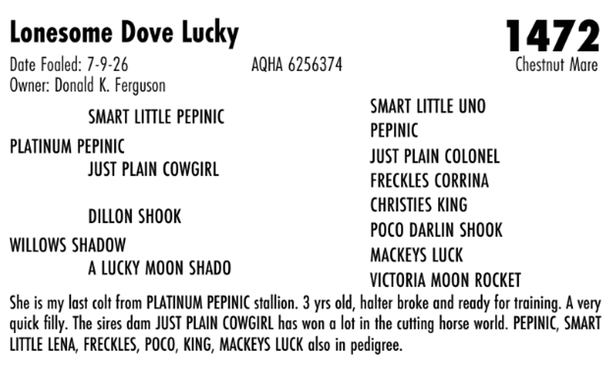 Lonesome Dove Lucky