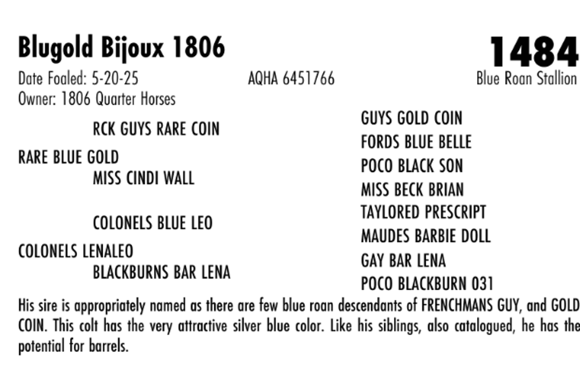 Blugold Bijoux 1806