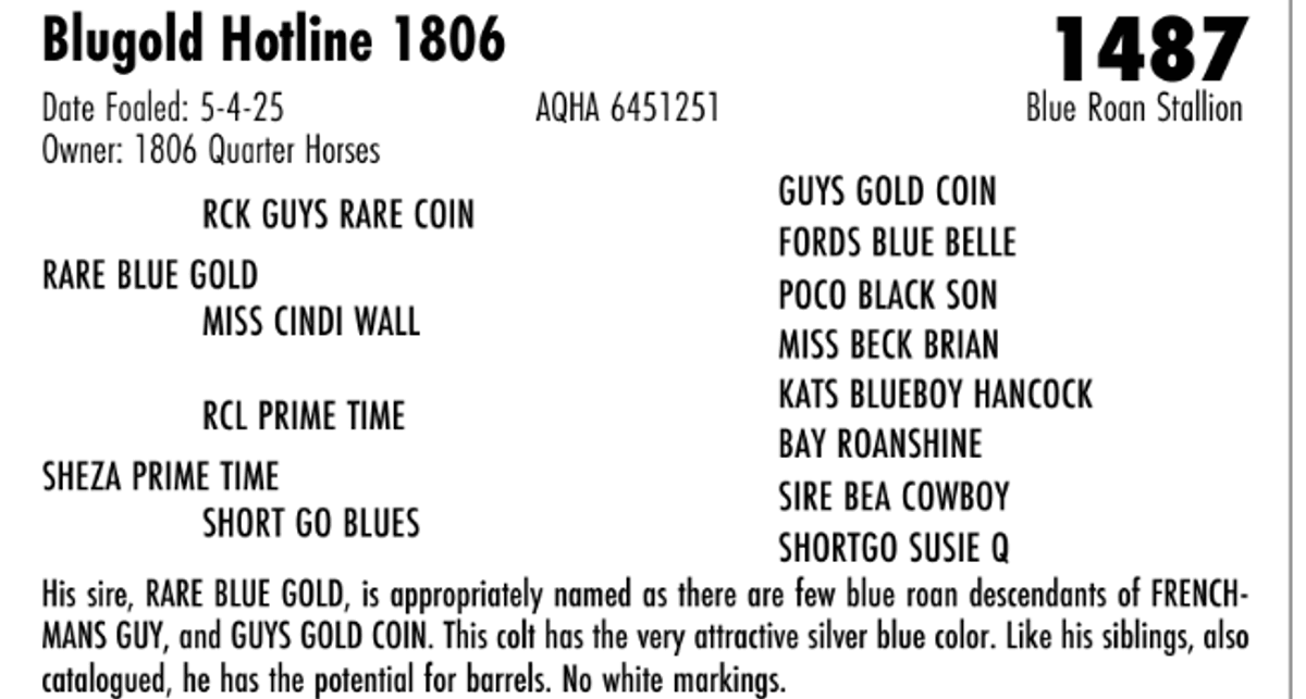 Blugold Hotline 1806