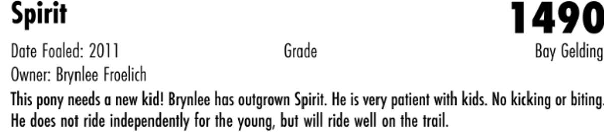 Spirit