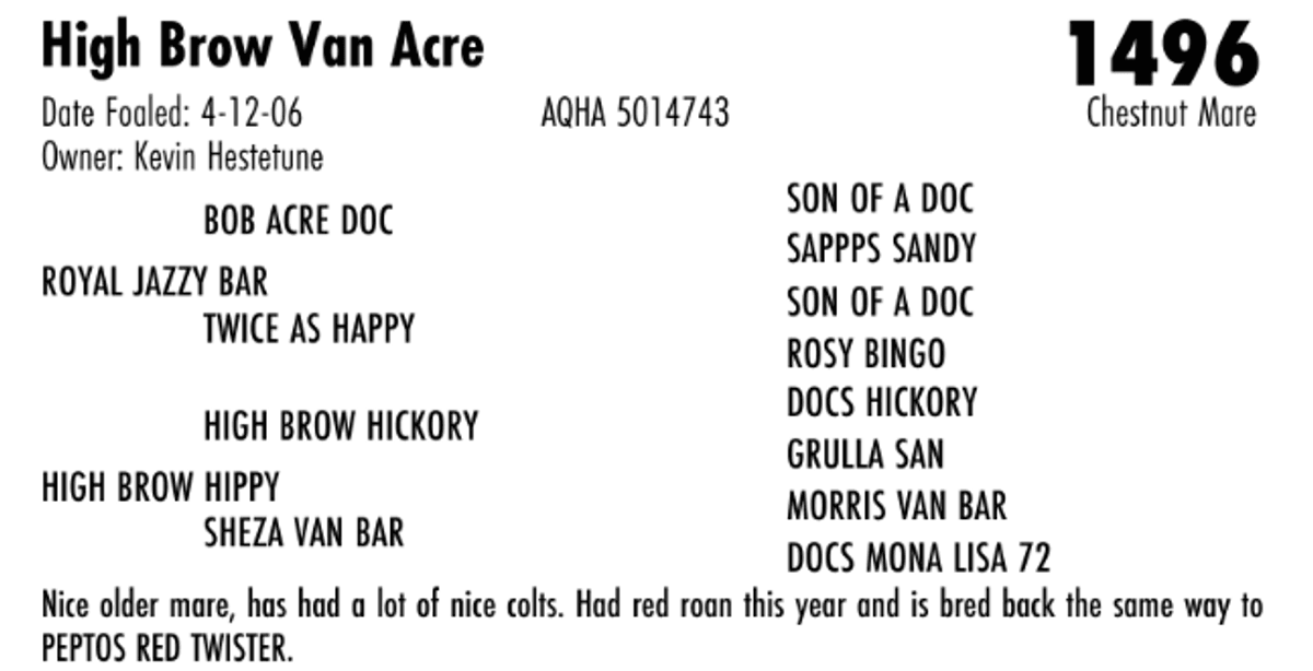 High Brow Van Acre