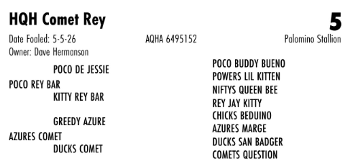 HQH Comet Rey