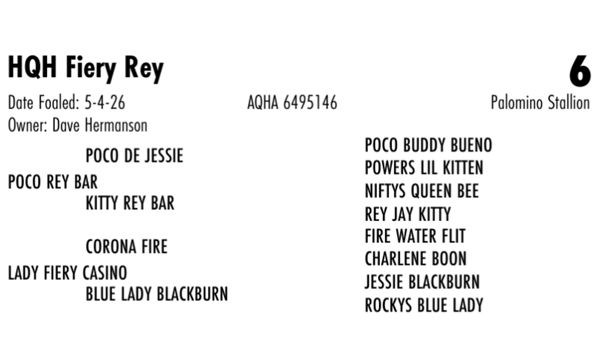 HQH Fiery Rey