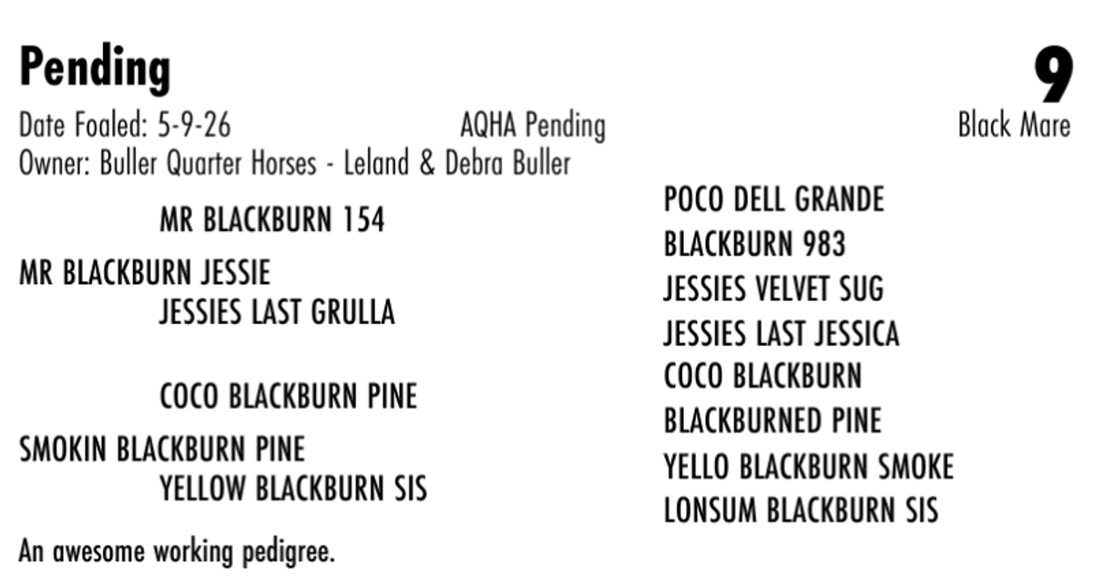 Black Mare