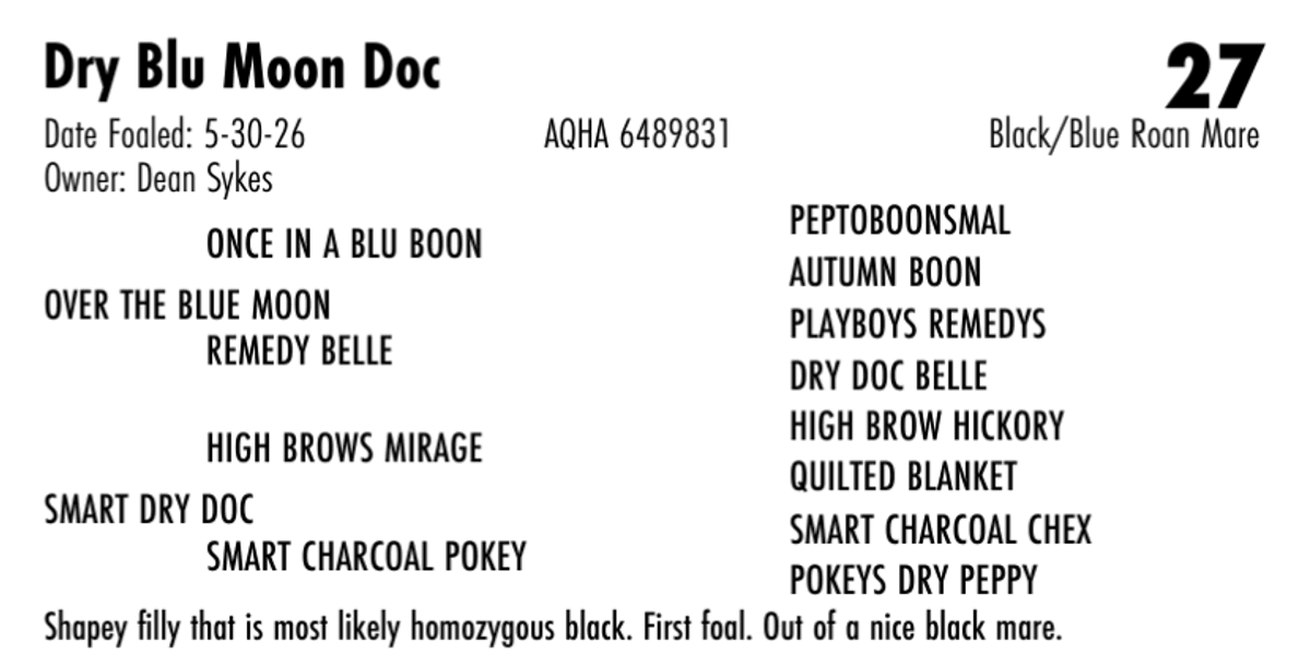 Dry Blu Moon Doc