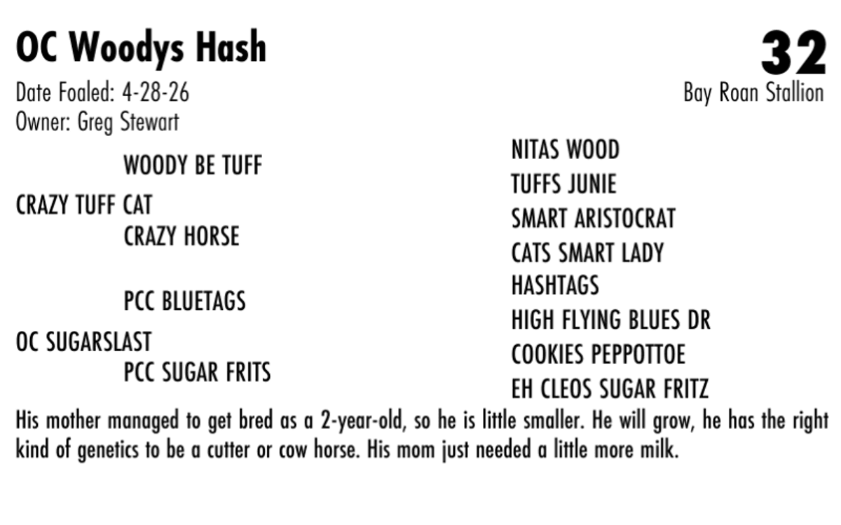 OC Woodys Hash