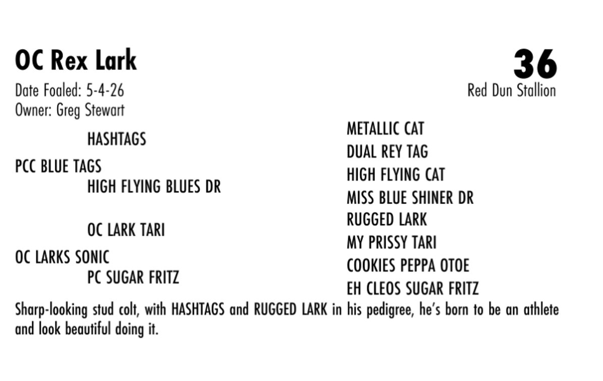 OC Rex Lark