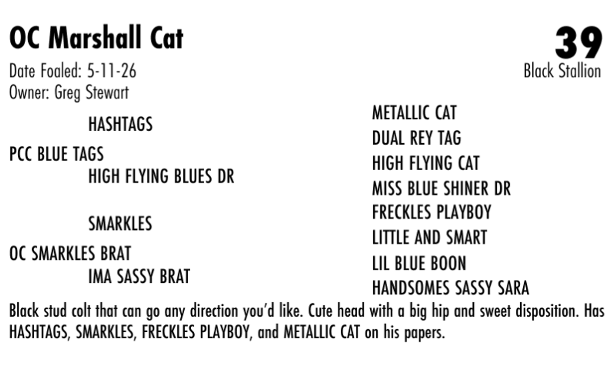 OC Marshall Cat
