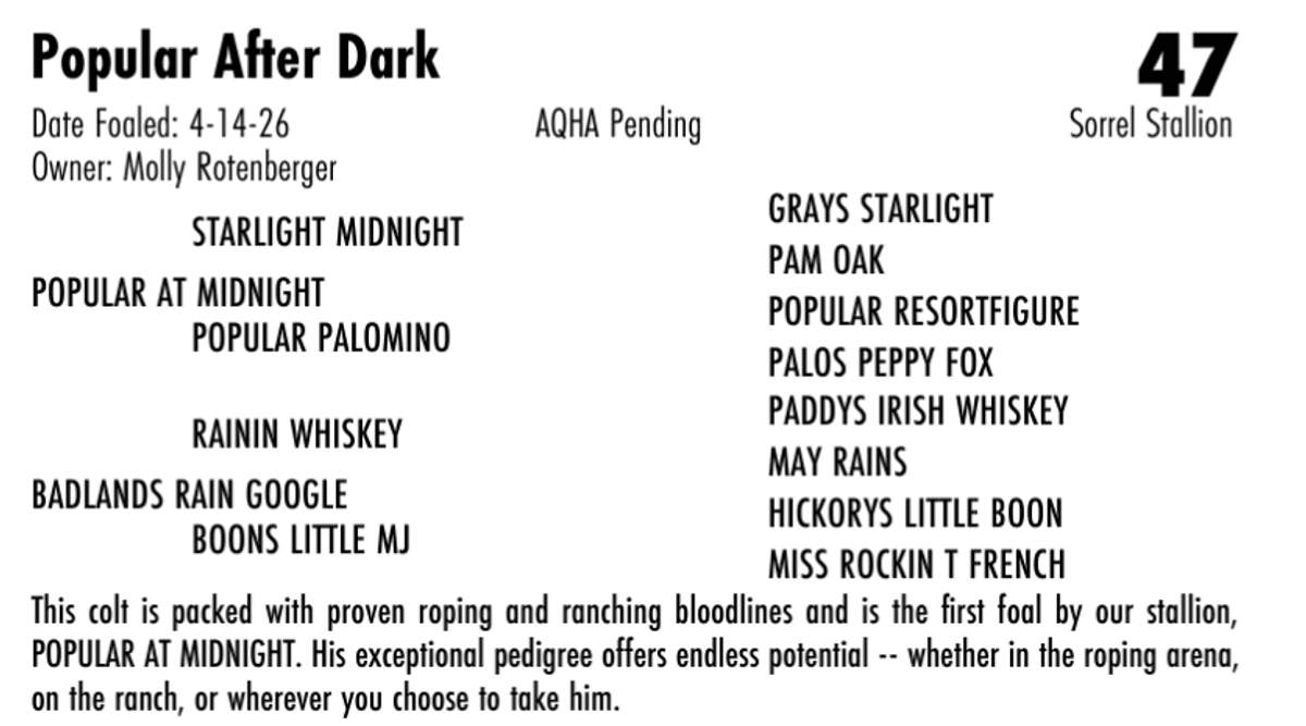 Popular After Dark