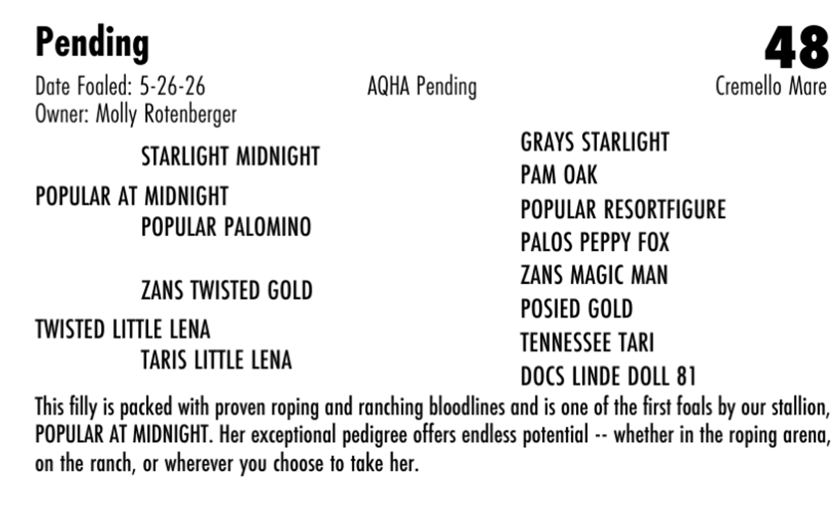 Cremello Mare