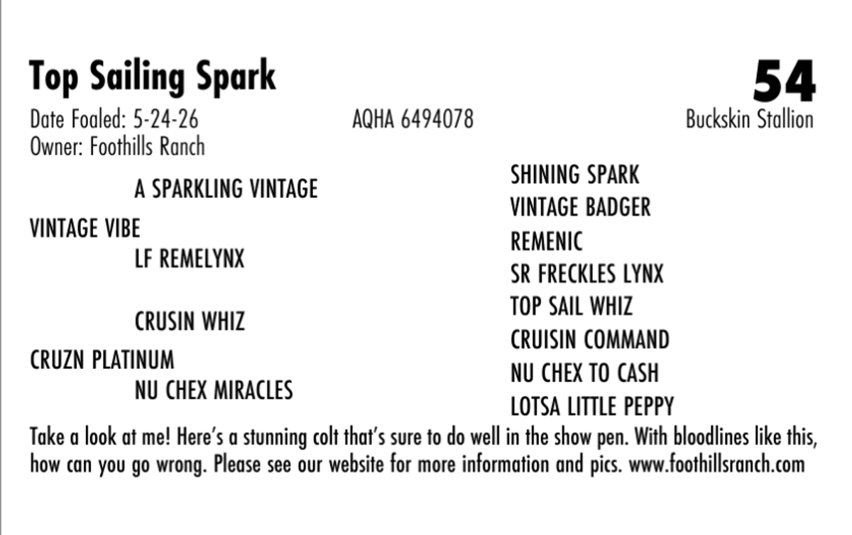 Top Sailing Spark