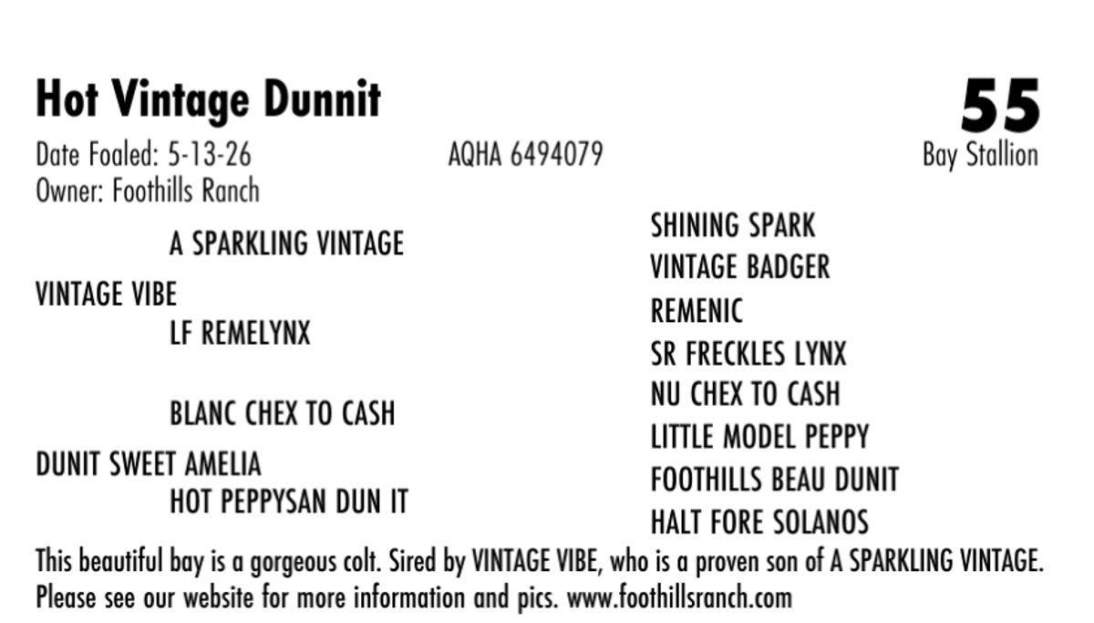 Hot Vintage Dunnit