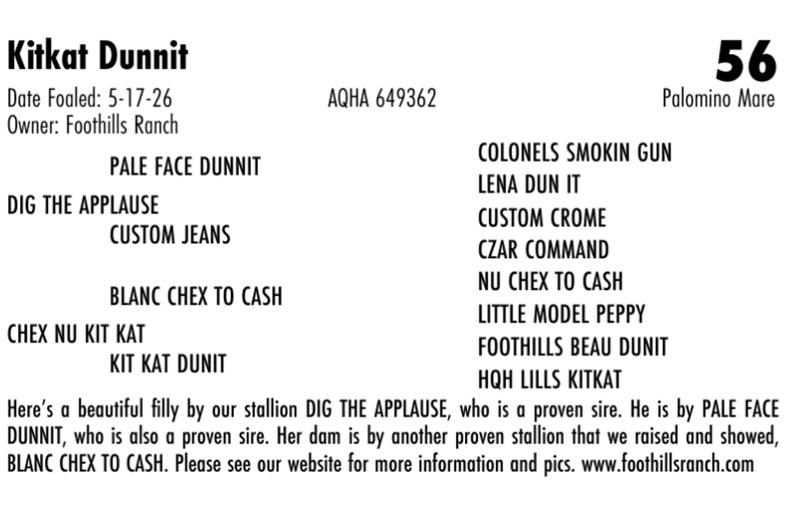Kitkat Dunnit