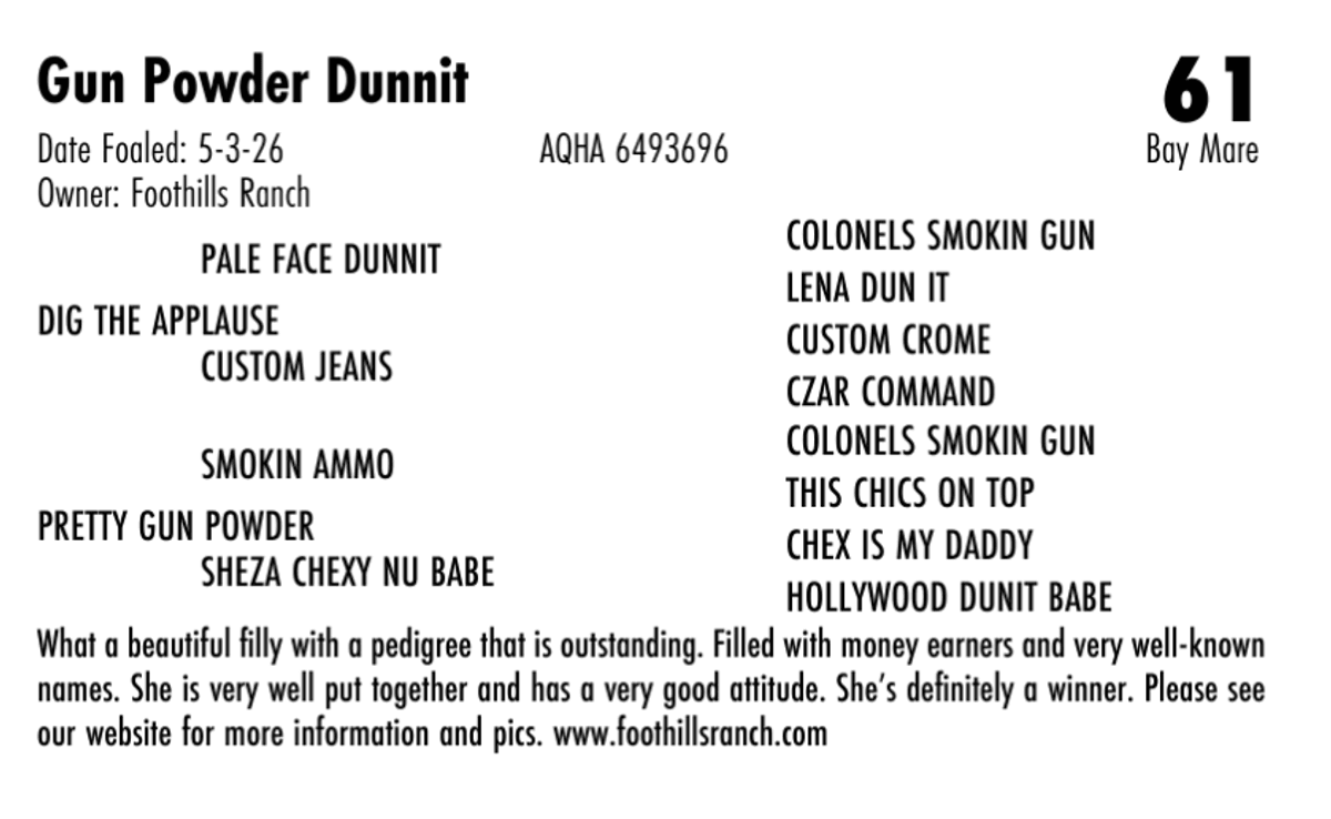 Gun Powder Dunnit