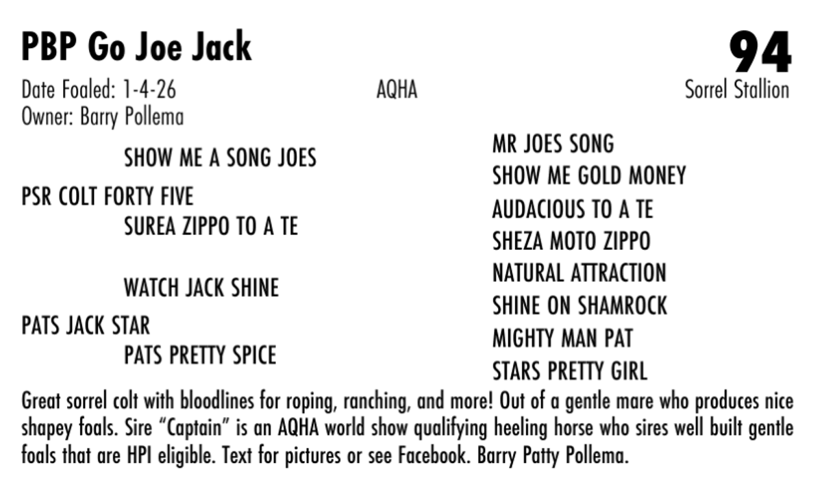 PBP Go Joe Jack