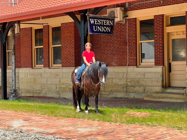 Image for Hawkeye Select Horse Sale SATURDAY, AUGUST 29TH - Vinton, Iowa