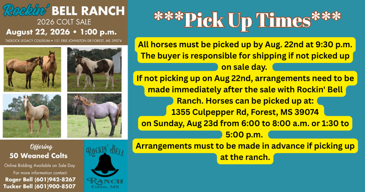 Image for Rockin' Bell Ranch 2026 Colt Sale Forest, MS August 22nd