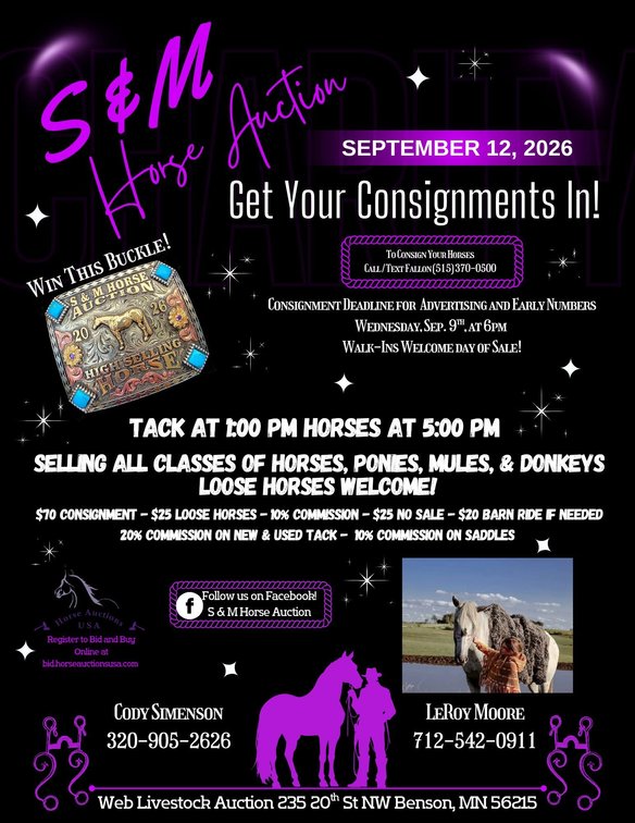 Image for S&M Horse Auction  - SATURDAY, SEPTEMBER 12TH - Benson, Minnesota