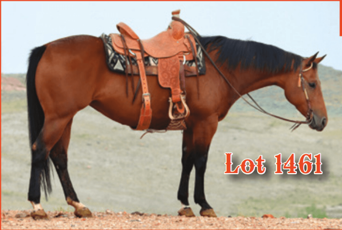 Ross Creek Riddley