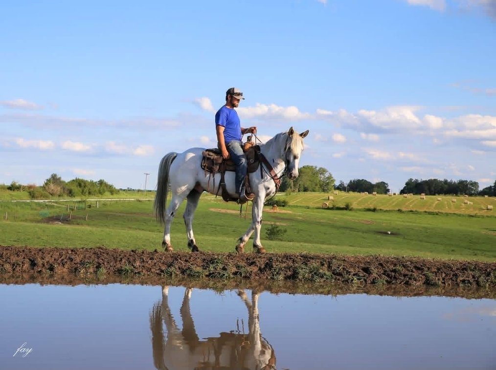 Image for S&M Horse Auction  - SATURDAY, SEPTEMBER 12TH - Benson, Minnesota